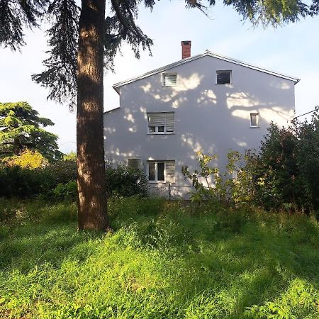 Apartment Luana Пула Екстер'єр фото