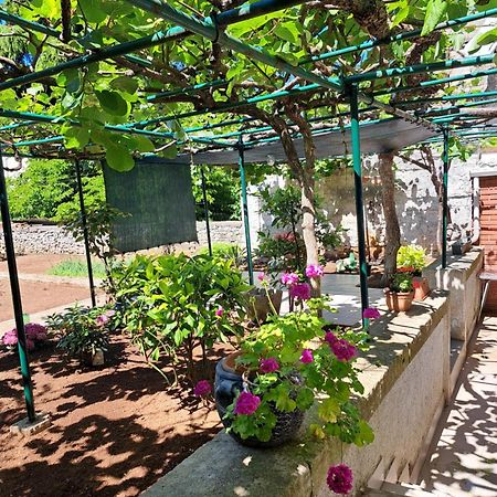 Apartment Luana Пула Екстер'єр фото